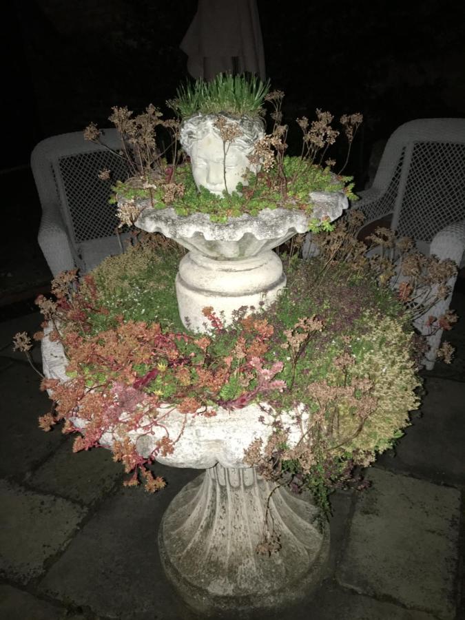 Little Redlands B&B 링컨 외부 사진